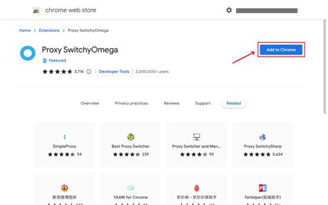 proxy switchyomega|Bright Data